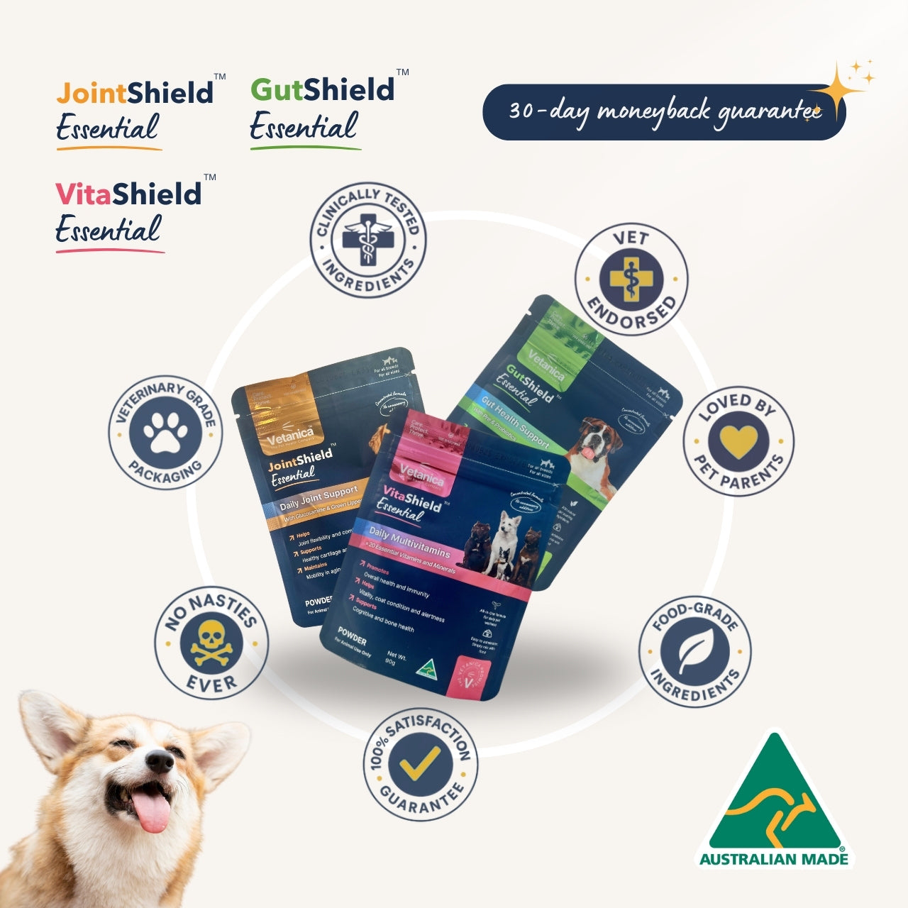 Everyday Wellness Bundle - Multivitamin + Joint & Gut Care