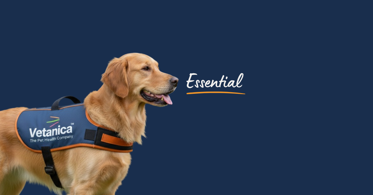 Dog Supplement Powders - Essential