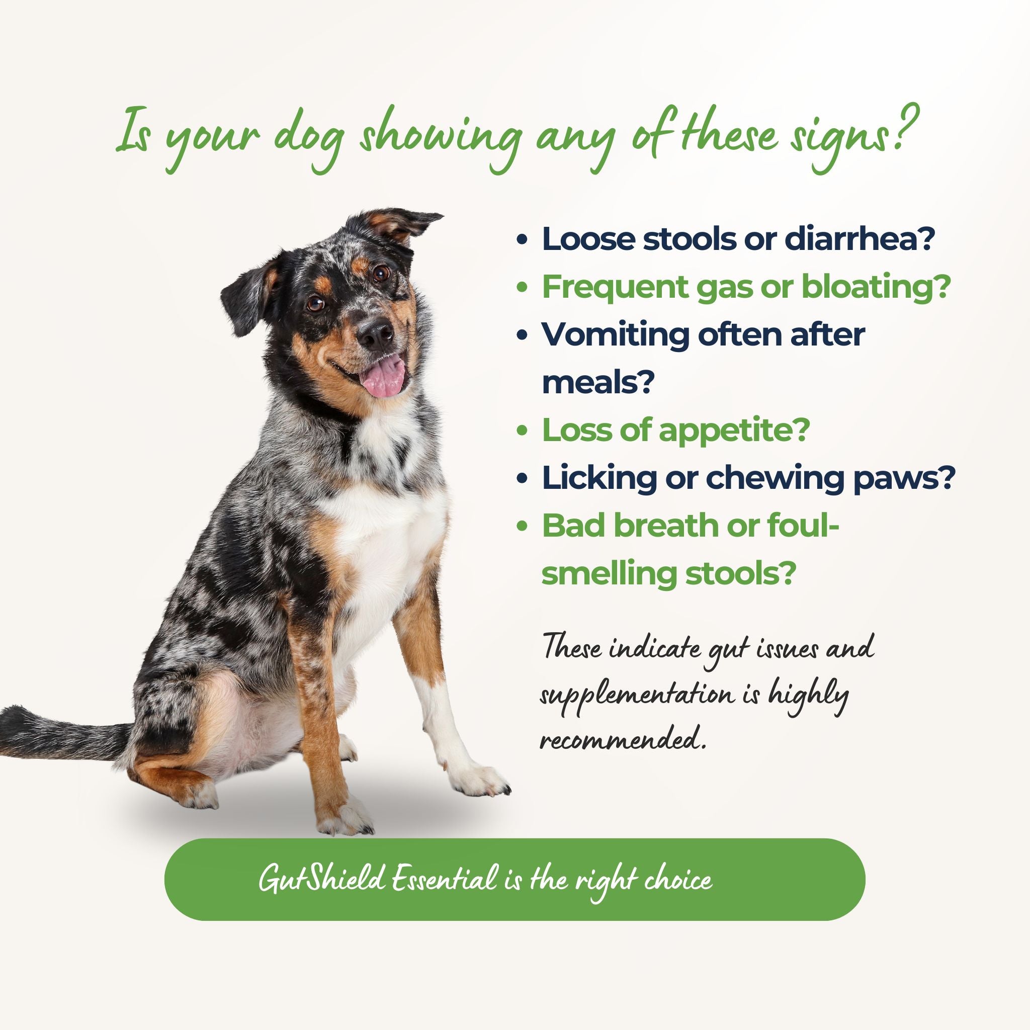 GutShield ™ Essential - Probiotic Gut Health Supplement for Dogs