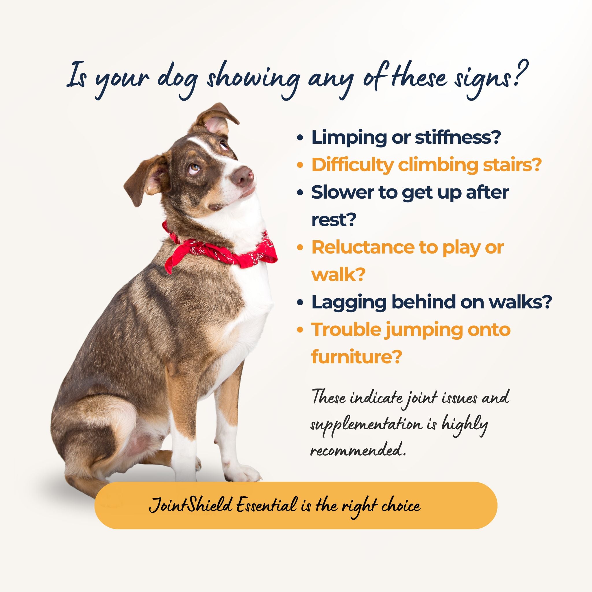 Dog joint pain signs