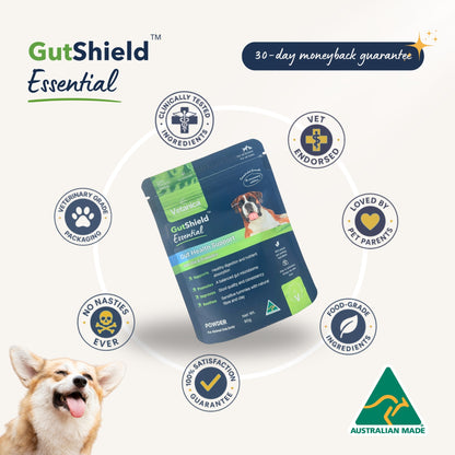 GutShield ™ Essential - Probiotic Gut Health Supplement for Dogs