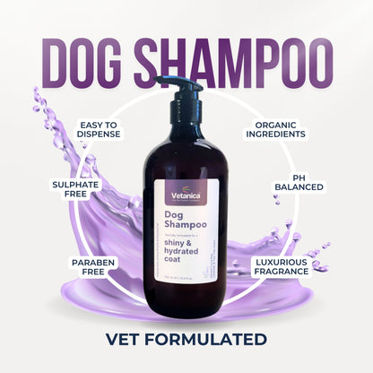 Premium Dog Shampoo for a Shiny & Hydrated Coat