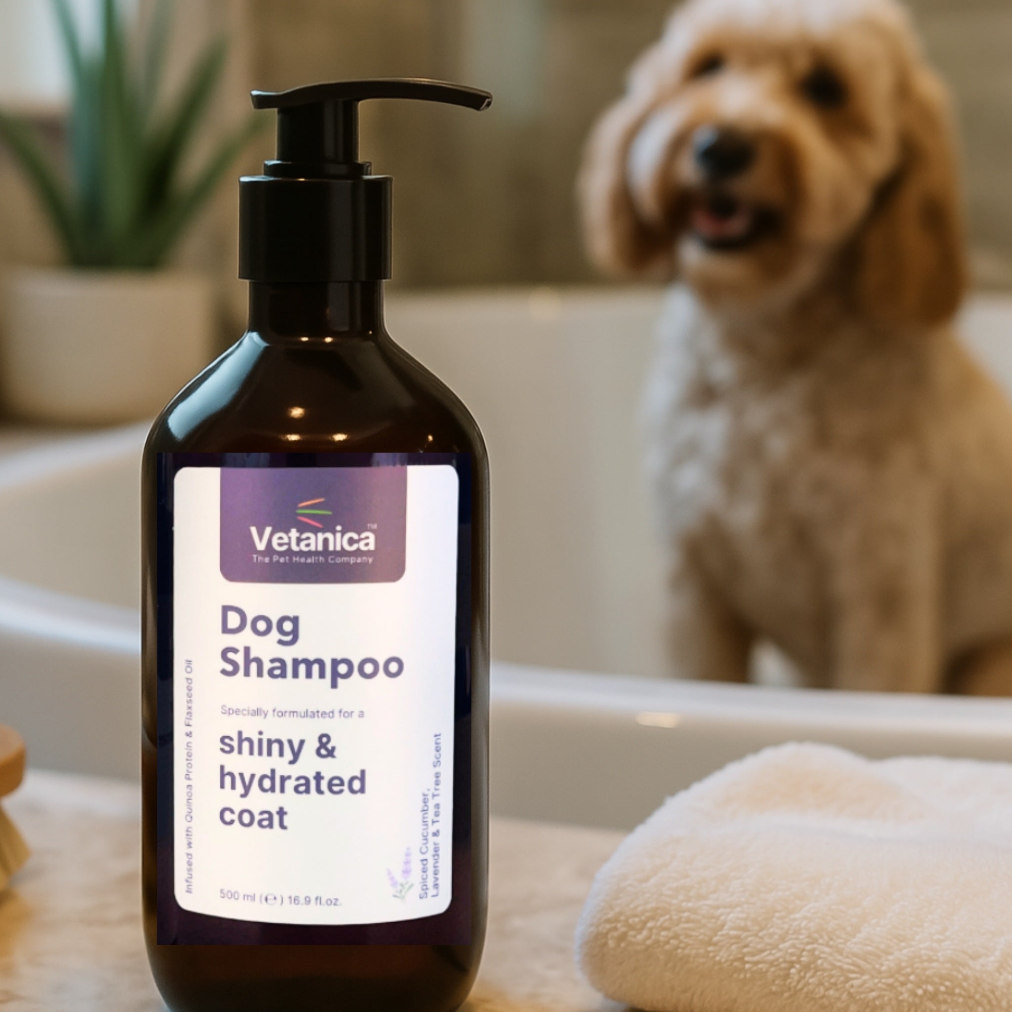 Premium Dog Shampoo for a Shiny & Hydrated Coat
