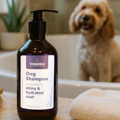 Premium Dog Shampoo for a Shiny & Hydrated Coat