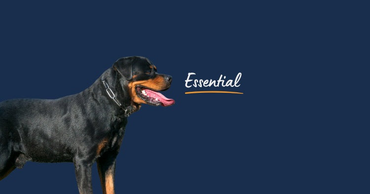 Dog Supplement Powders - Essential