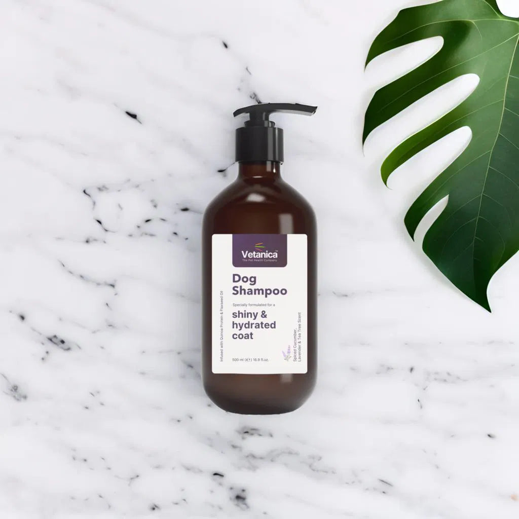 Premium Dog Shampoo for a Shiny & Hydrated Coat