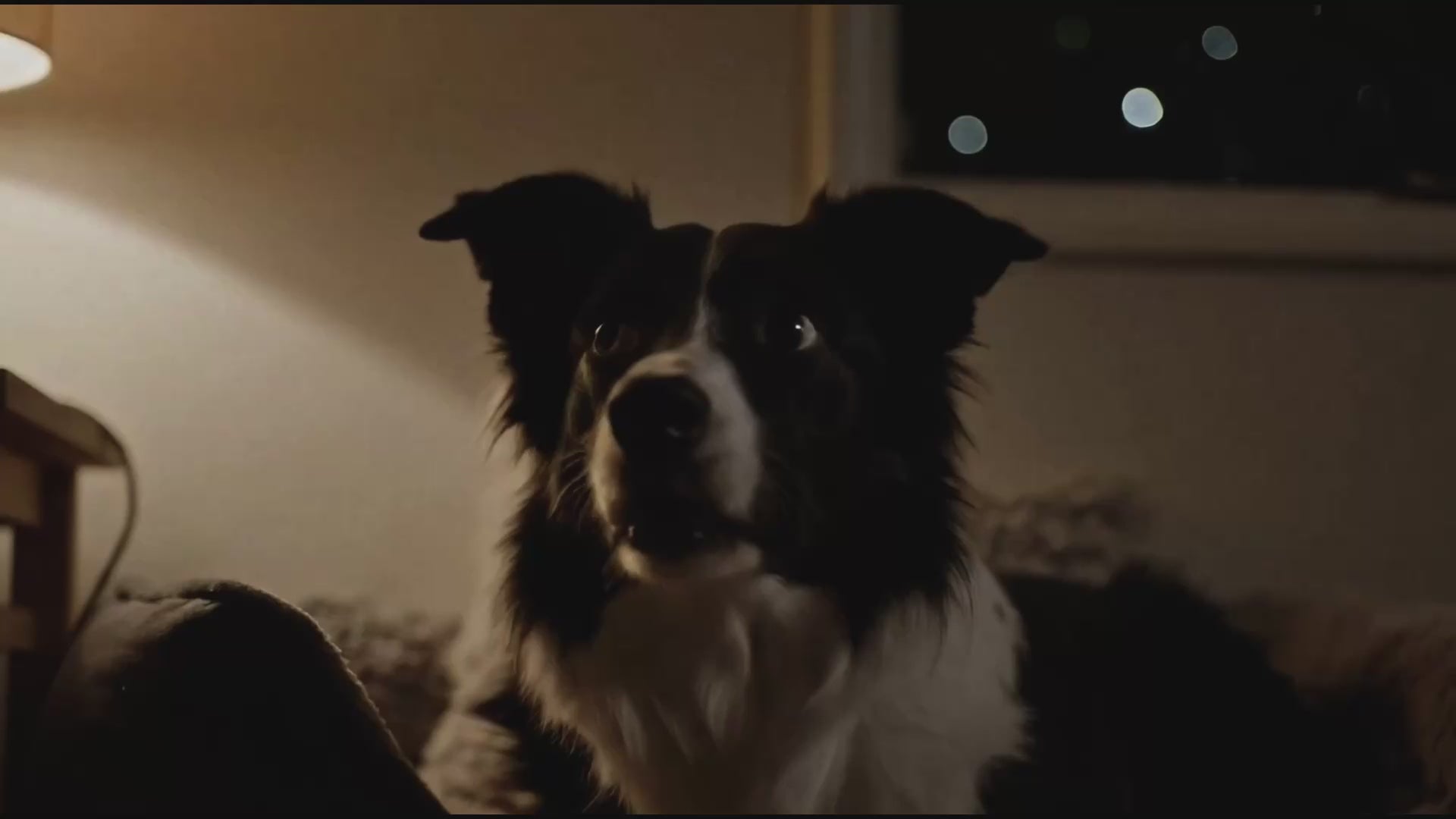 Load video: 